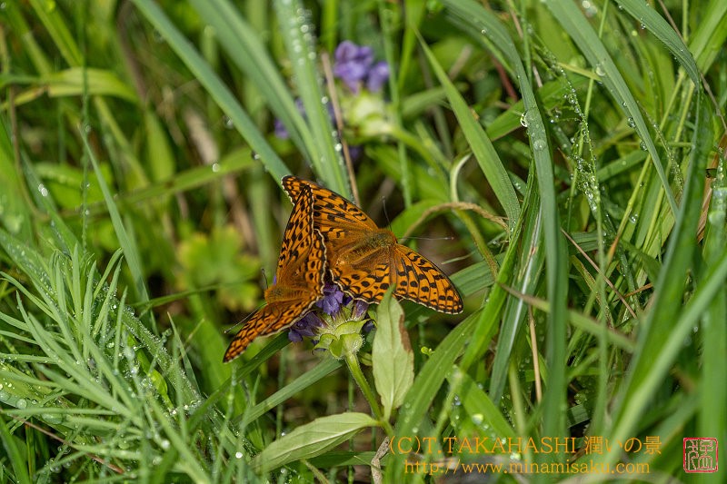 ../Images/7R240713 (146).jpg